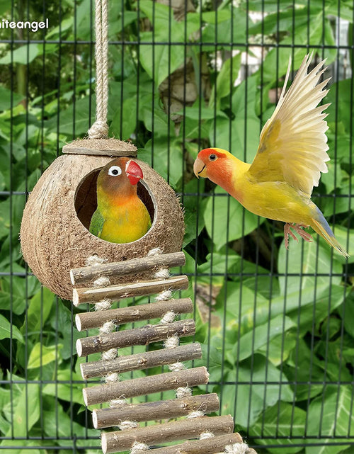 Load image into Gallery viewer, 100% Natural Coconut Hideaway with Ladder, Bird and Small Animal Toy
