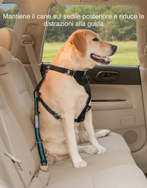 Load image into Gallery viewer, Direct to Seat Belt Tether for Dogs, Universal Car Seat Belt for Pets, Adjustable Length Dog Safety Beltquick &amp; Easy Installation
