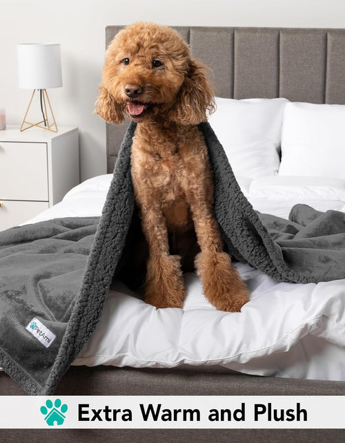 Load image into Gallery viewer, Dog Blanket for Bed, XL Pet Blanket Large Dogs, Fleece Furniture Couch Cover Protector Sofa Car Crate Kennel, Soft Sherpa Cat Throw Plush Reversible Washable, Twin 60X80 Solid Dark Gray
