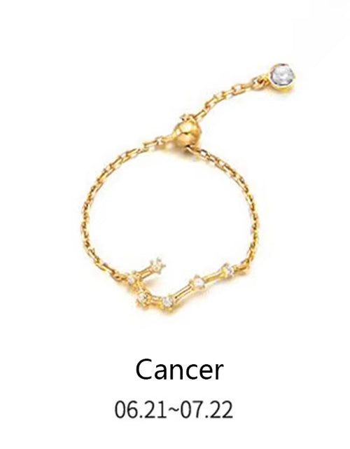 Load image into Gallery viewer, 925 Sterling Silver Unique 12 Constellation Chain Link Adjustable Rings for Women Couple Zodiac Jewelry Celestial Gift
