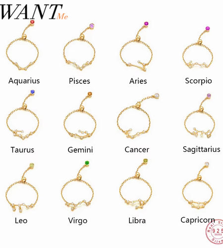 925 Sterling Silver Unique 12 Constellation Chain Link Adjustable Rings for Women Couple Zodiac Jewelry Celestial Gift