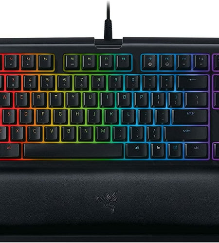 Blackwidow TE Chroma V2 TKL Tenkeyless Mechanical Gaming Keyboard: Orange Key Switches, Tactile & Silent, Chroma RGB Lighting, Magnetic Wrist Rest, Programmable Macros, Classic Black