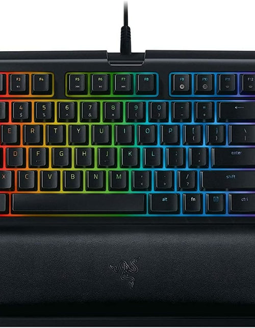 Load image into Gallery viewer, Blackwidow TE Chroma V2 TKL Tenkeyless Mechanical Gaming Keyboard: Orange Key Switches, Tactile &amp; Silent, Chroma RGB Lighting, Magnetic Wrist Rest, Programmable Macros, Classic Black

