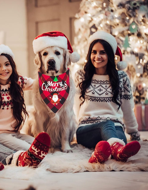 Load image into Gallery viewer, 2 Pack Dog Bandana Christmas Classic Plaid Pet Scarf Triangle Bibs Kerchief Merry Christmas Santa Snowman Print Pet Bandana for Small Medium Large Dogs Cats Pets (Red &amp; Red)
