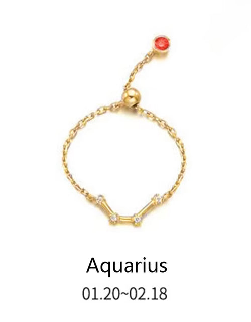 Load image into Gallery viewer, 925 Sterling Silver Unique 12 Constellation Chain Link Adjustable Rings for Women Couple Zodiac Jewelry Celestial Gift

