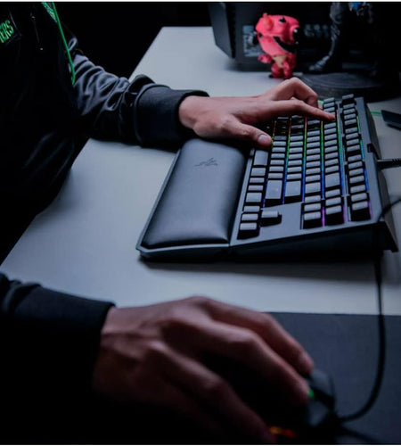 Blackwidow TE Chroma V2 TKL Tenkeyless Mechanical Gaming Keyboard: Orange Key Switches, Tactile & Silent, Chroma RGB Lighting, Magnetic Wrist Rest, Programmable Macros, Classic Black